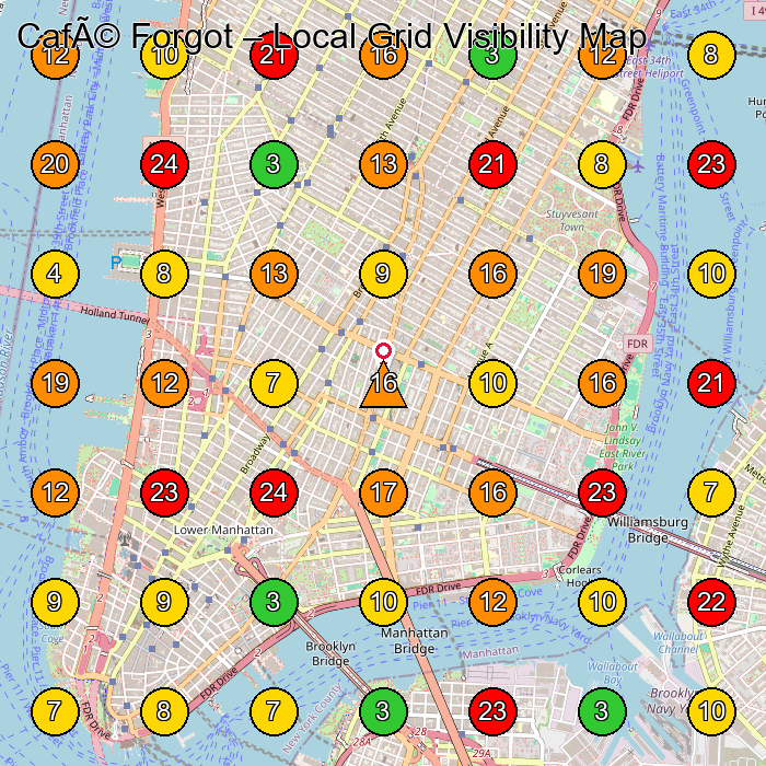 Café Forgot Clothing Store GeoGrid ranking map for New York NY